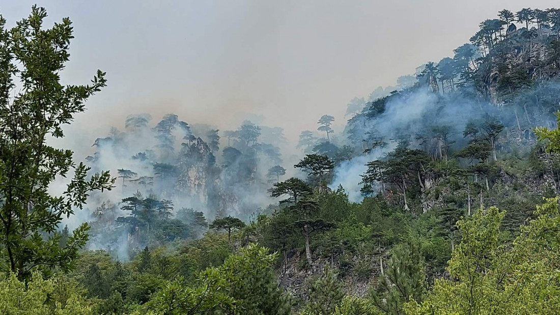 U Konjicu do sada opožareno više od 20 hektara