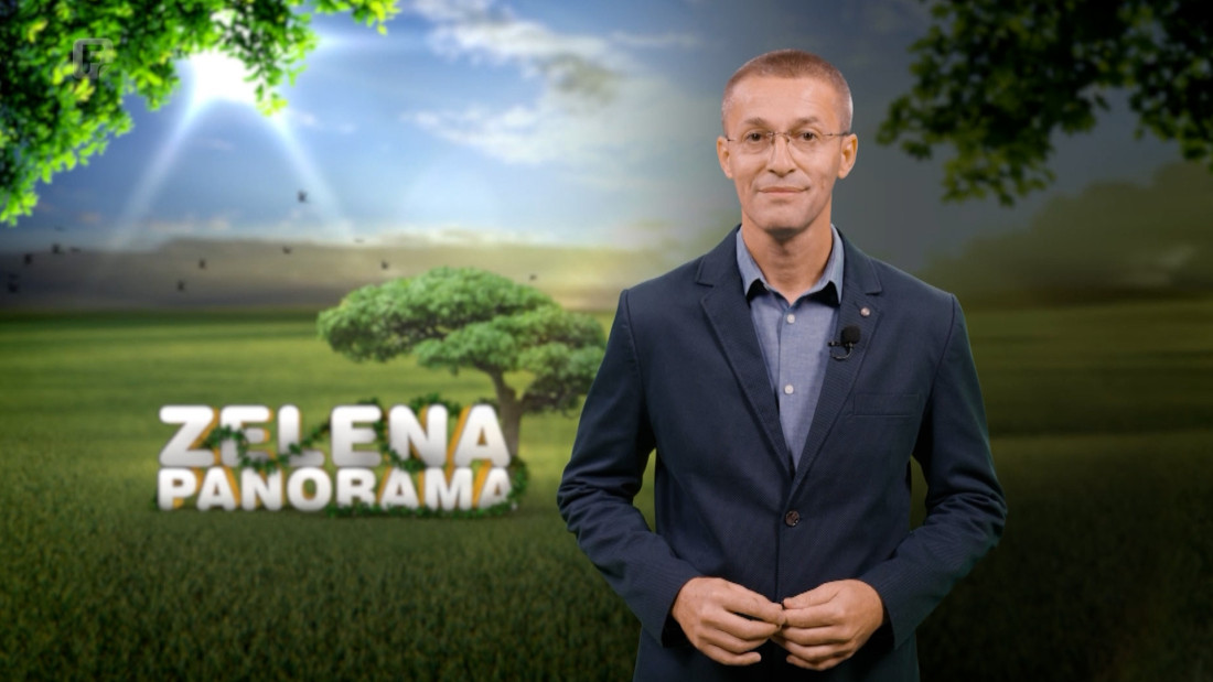 Zelena panorama, 06.09.2026.