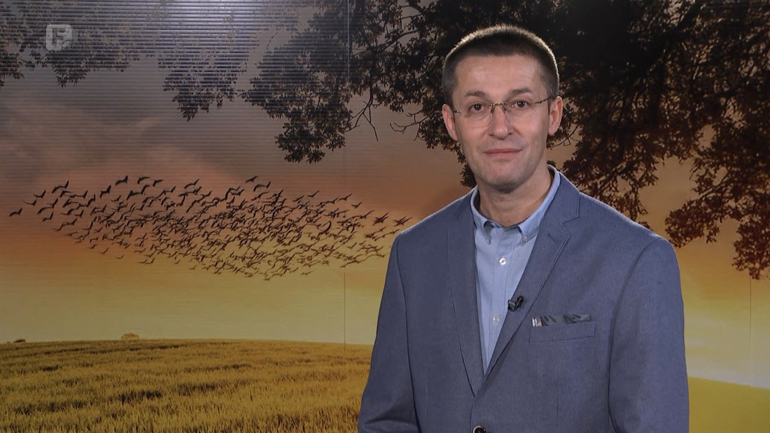 Zelena panorama, 08.02.2026.