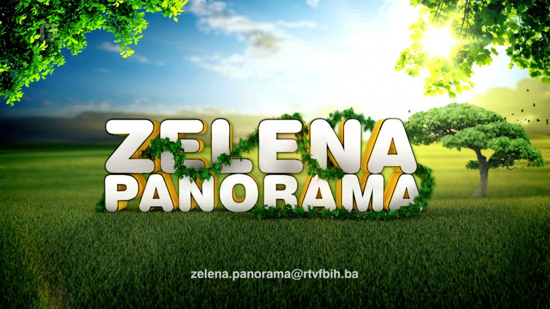 Zelena panorama, 19.06.2022.