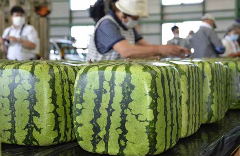 20 činjenica o Japanu koje će vam pokazati zašto ovu zemlju vrijedi posjetiti