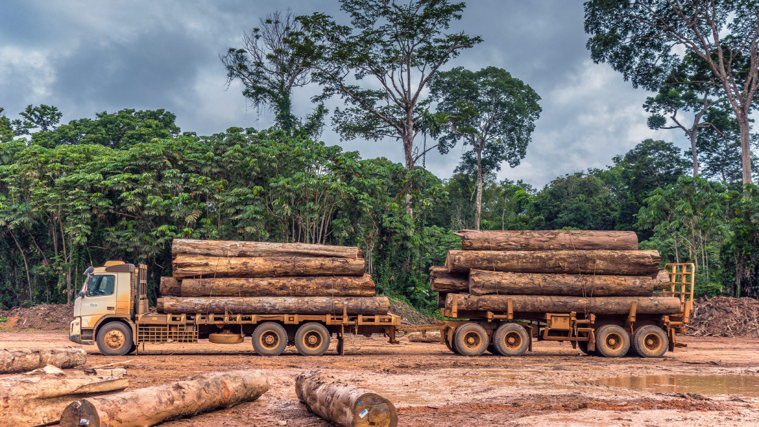 Rekordno krčenje šume u brazilskoj Amazoniji u februaru