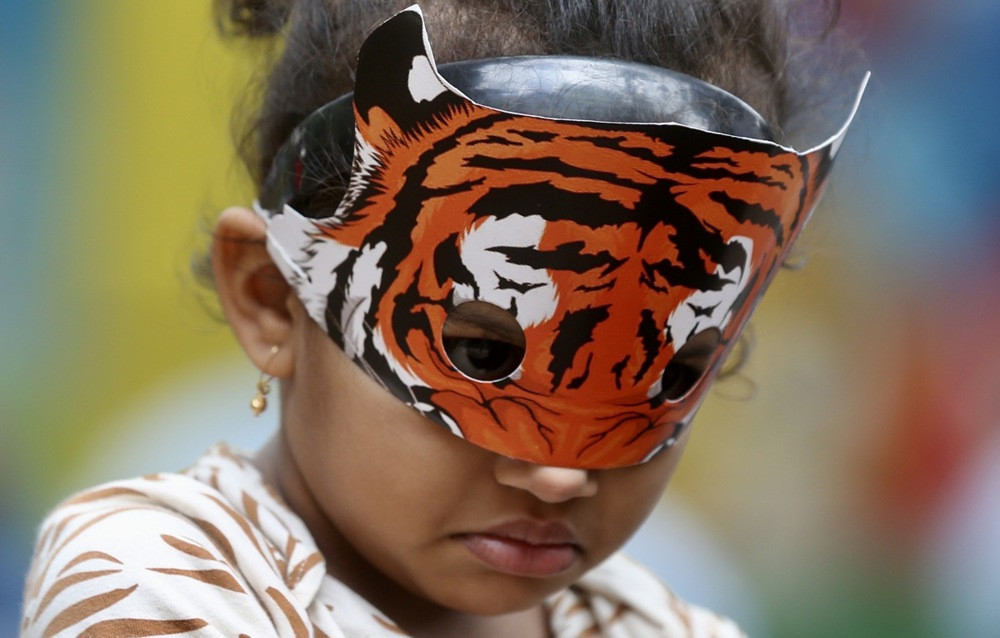 Broj tigrova u Indiji porastao na 3.682, 75 posto svjetske populacije