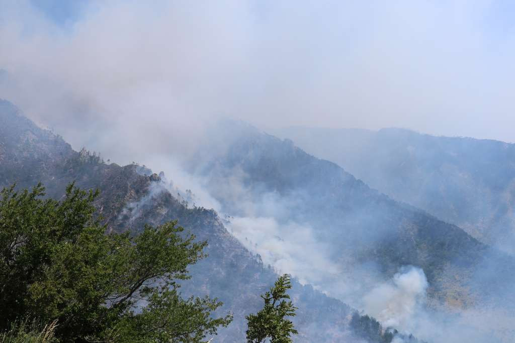 Požar kod Jajca zahvatio oko sedam hektara borove šume, gašenje otežano zbog mina