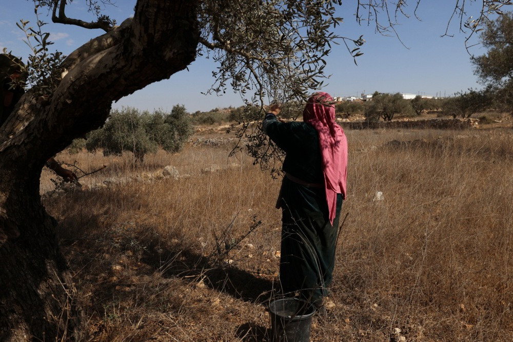 Ilegalni izraelski doseljenici napali palestinske farmere na Zapadnoj obali