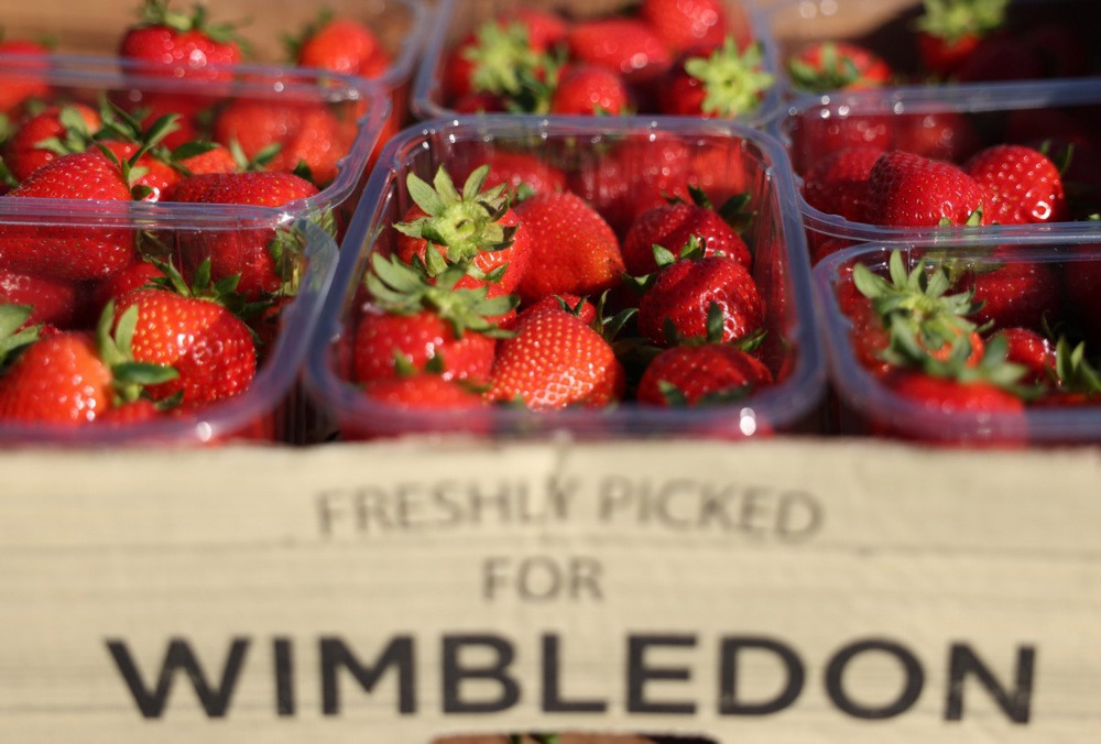 Danas počinje Wimbledon 2025: Spektakl na travi traje do 13. jula