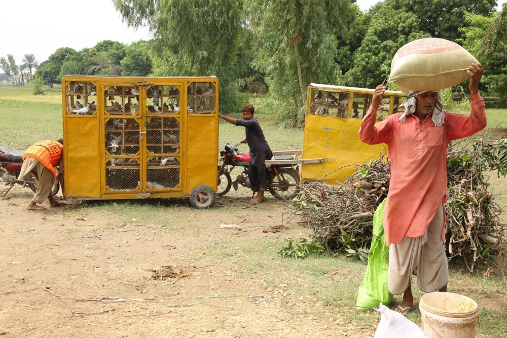 Globalno siromaštvo pogađa gotovo 700 miliona ljudi, upozorava Svjetska banka