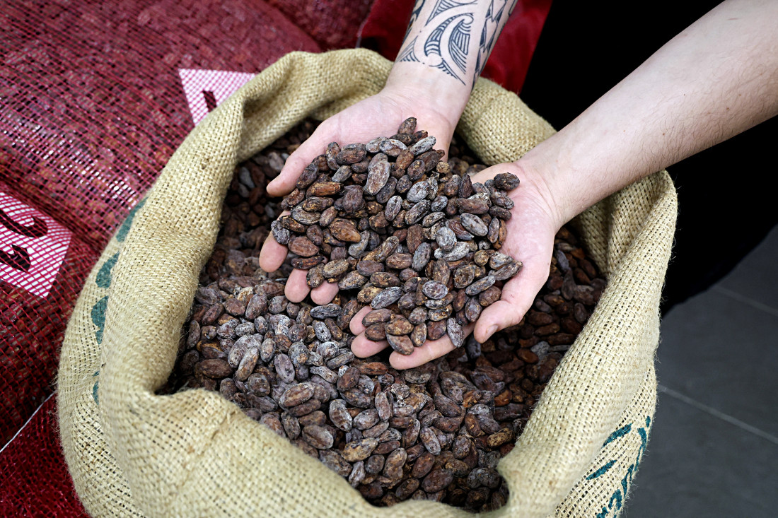 Cijene kakaa pale za više od 10 posto početkom 2026.