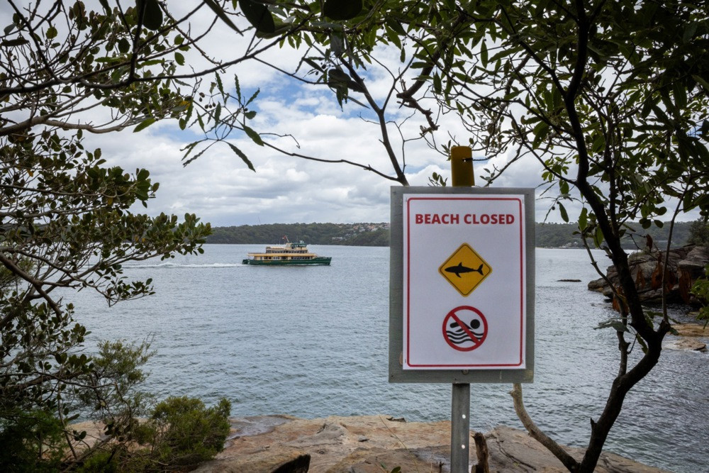 Ajkula napala muškarca kod australskog ostrva Rottnest