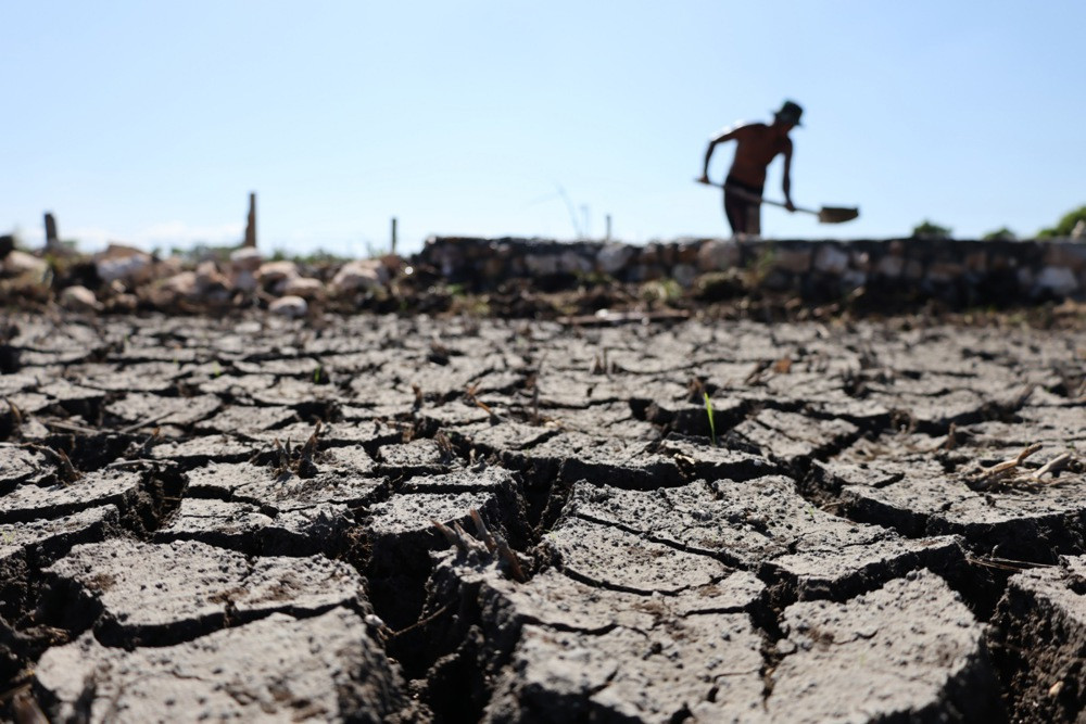 Fenomen El Niño mogao bi biti najintenzivniji u posljednjih više od 100 godina