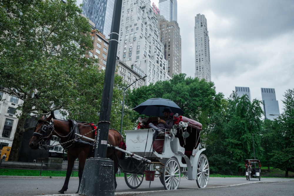 New York zabranjuje konjske kočije u Central Parku: Kraj tradicije duge više od 160 godina