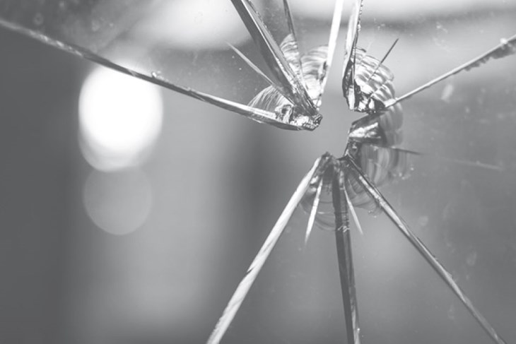 BiH: Divlji konji nadomak Mostara na meti konjokradica