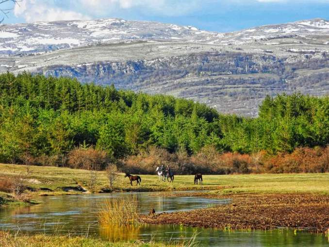 Livanjsko selo "Stupe" proglašeno najljepšim selom u BH