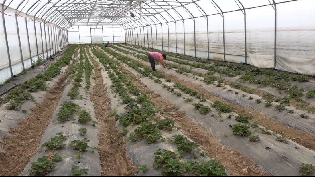 Agroplan Bijeljina: Primjer da inkluzija i održivi razvoj mogu ići ruku pod ruku