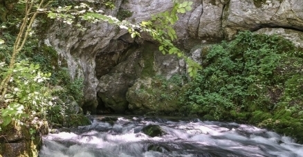 Vrelo Vrutak