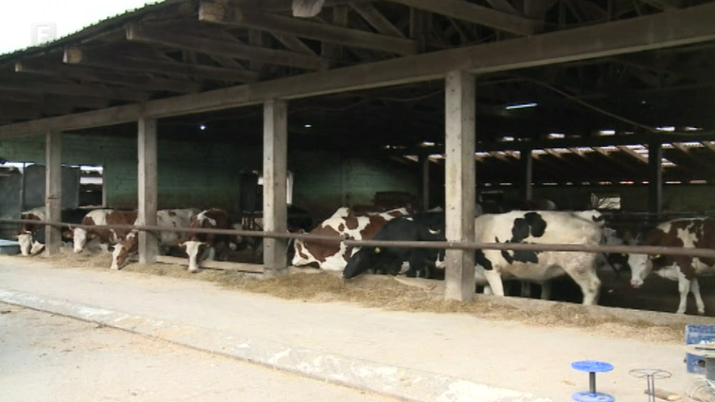 Poljoprivredni proizvođači još čekaju odgovor nadležnih o zaštiti domaće proizvodnje