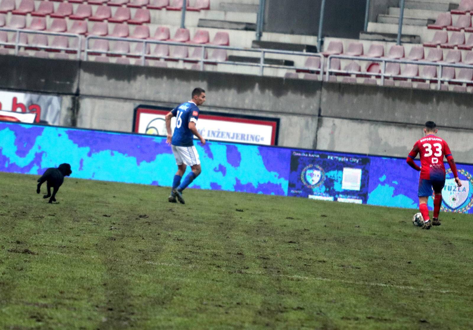 Publika na stadionima je zabranjena, ali to ne važi za ovog gosta