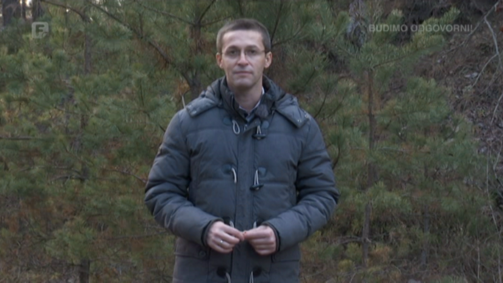 Zelena panorama, 27.12.2020.