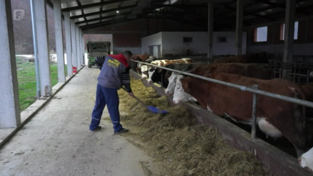 Loše stanje u mljekarstvu