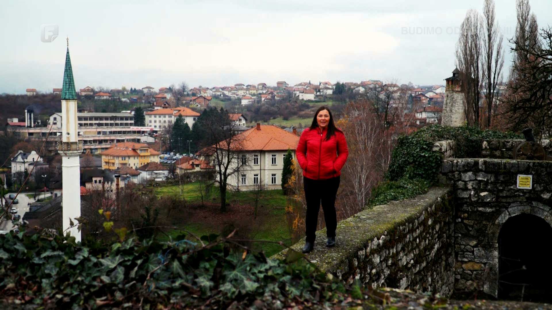 Svako dobro u rodnom mjestu Zmaja od Bosne