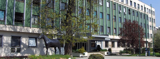 Veterinarski fakultet Sarajevo detektovao prvo oboljenje kovida kod psa