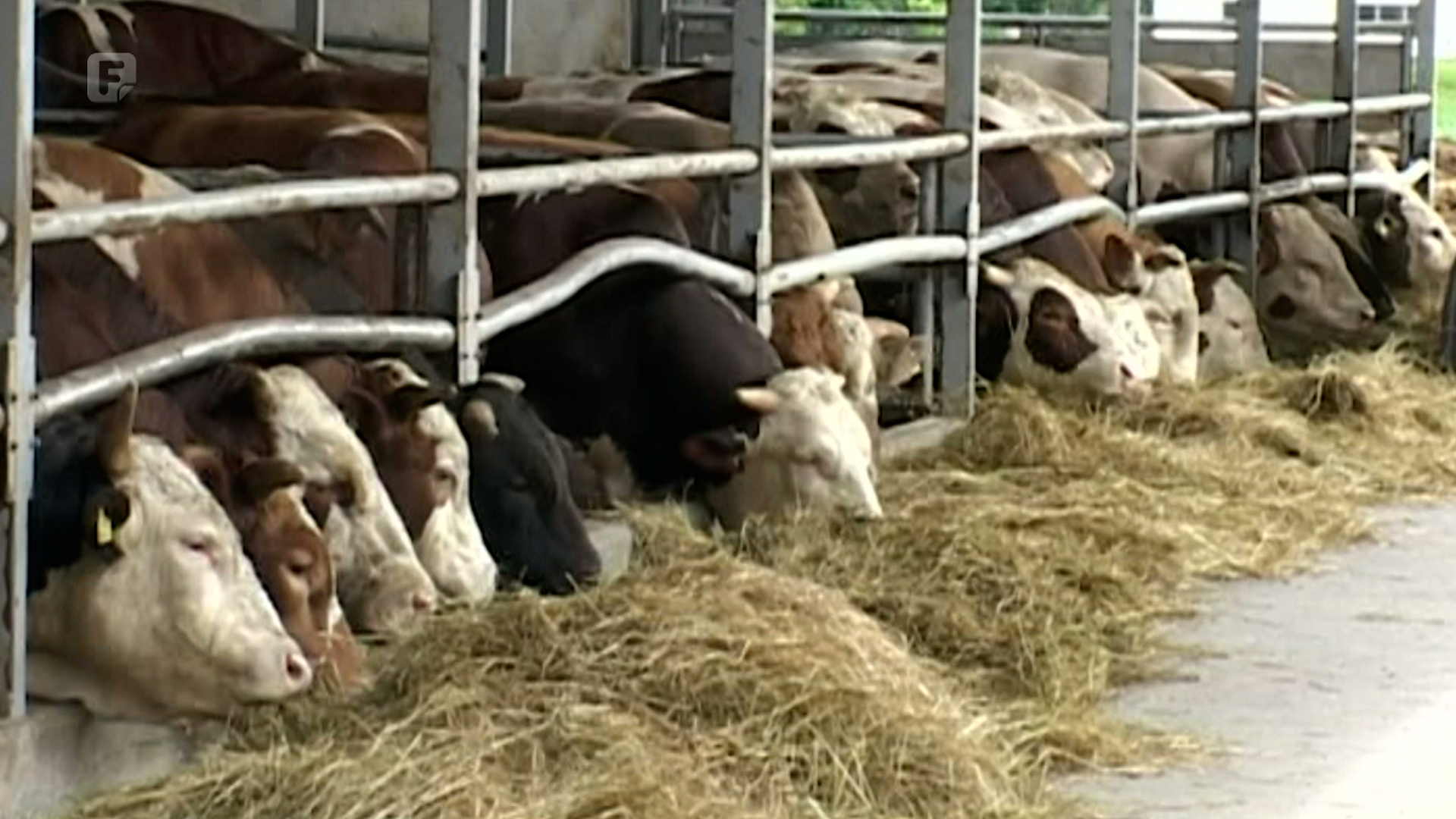 Privremene carine: pomoć poljoprivrednicima ili nova poskupljenja?