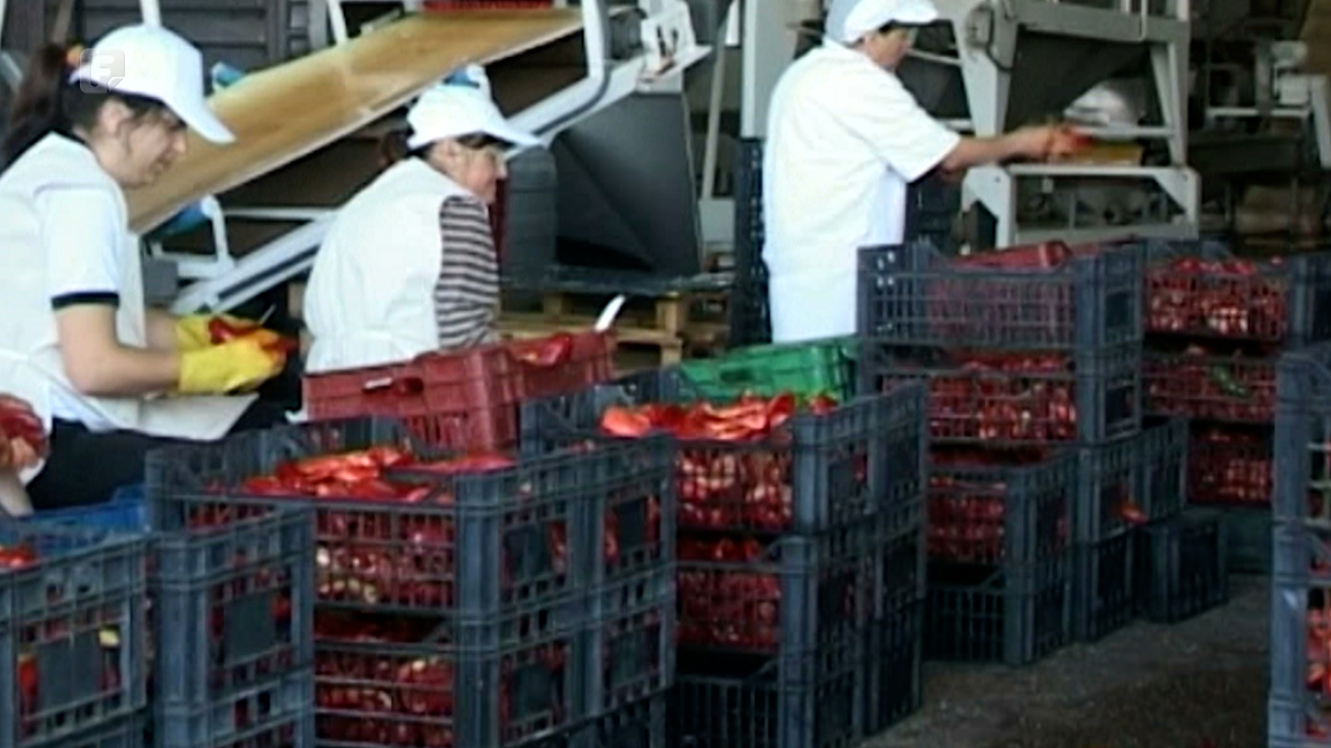 Udružili se poljoprivrednici i “Sava Semberija": Fabrika povećala otkupne cijene voća i povrća