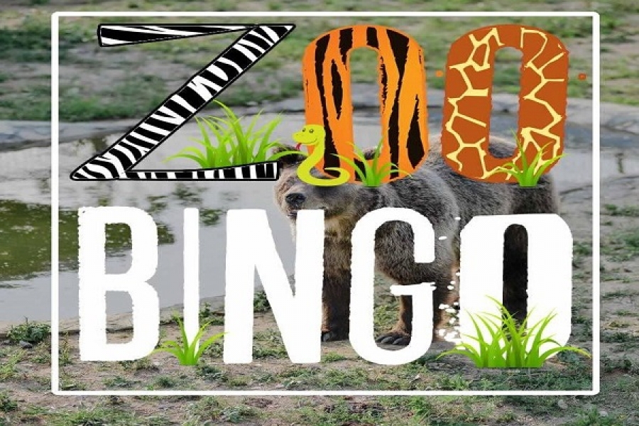 Zoo vrt Bosanska poljana u Tuzli: Porodična zabava u kraljevstvu životinja