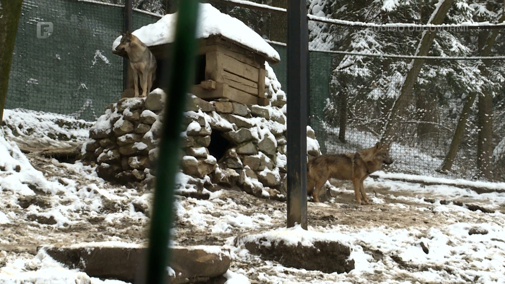 Zima u Pionirskoj dolini