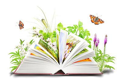 Ako misliš godinu unaprijed posadi drvo, ako misliš 100 godina unaprijed ekološki obrazuj djecu