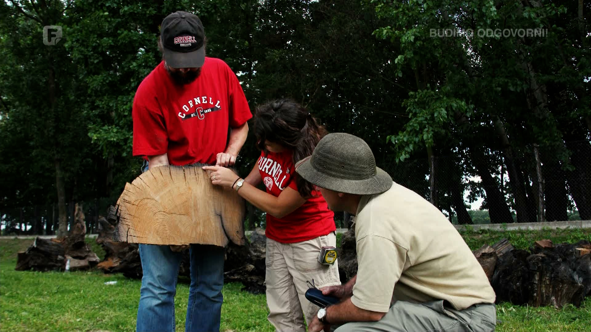 Da li znate šta je Abonos?