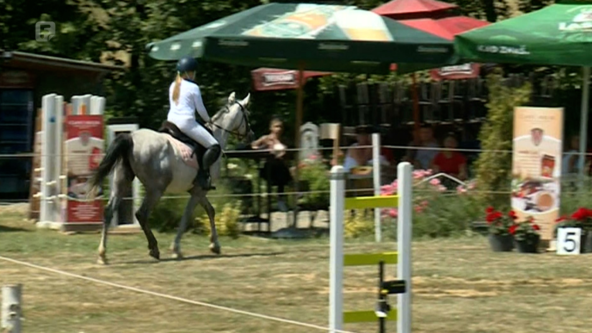 Konjički sport sve popularniji u Bosni i Hercegovini