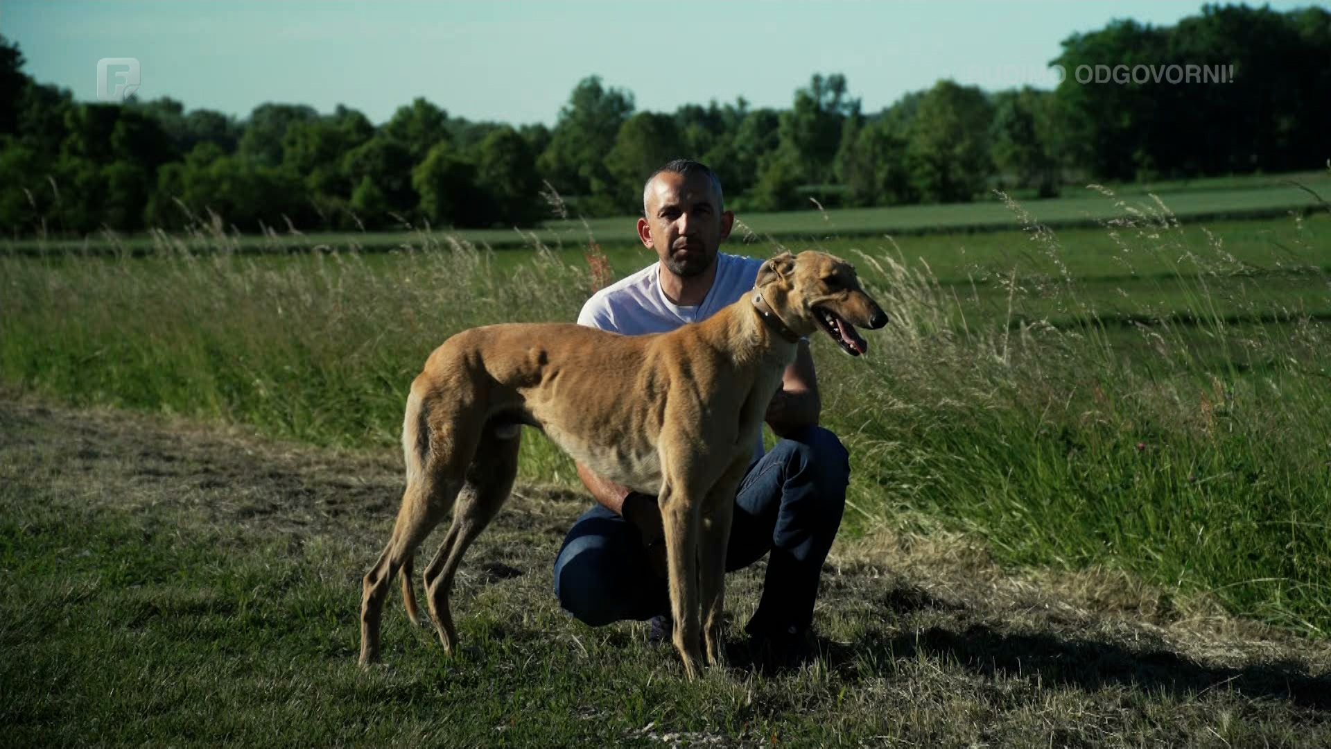 Upoznajte Roleksa - jednog od najbržih pasa na Balkanu
