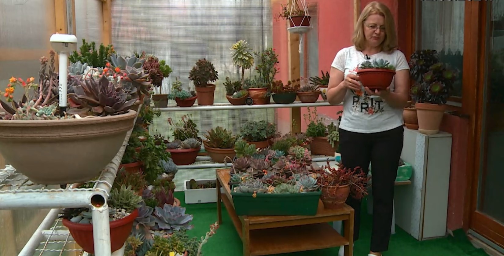 Zašto je Elsina mala zelena terasa postala inspiracija mnogima