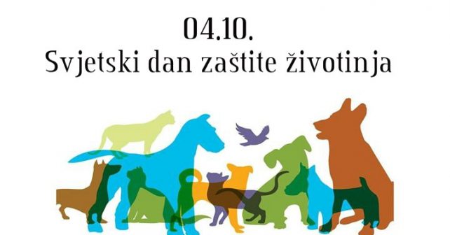 Životinjsko carstvo u Pionirskoj dolini