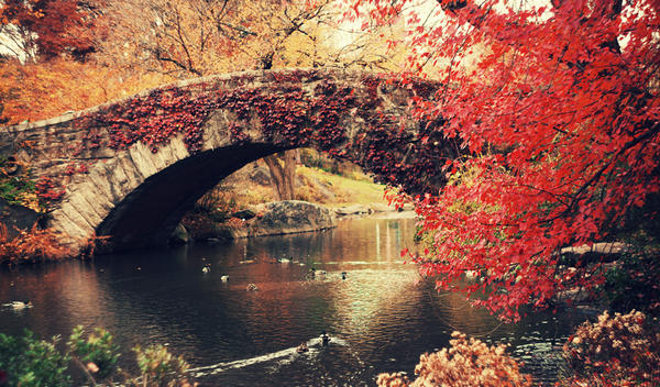 Zlatna jesen pred nama