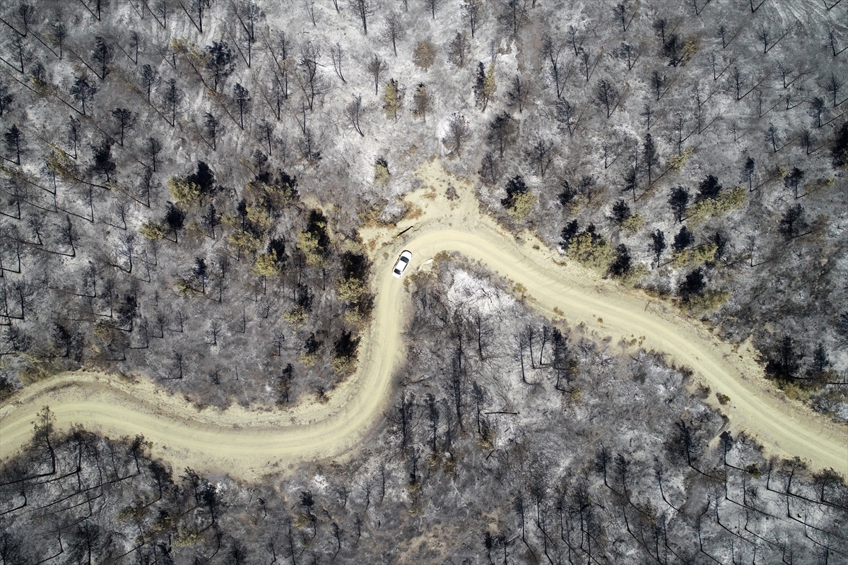 Snimci iz helikoptera pokazuju razmjere požara u Antaliji