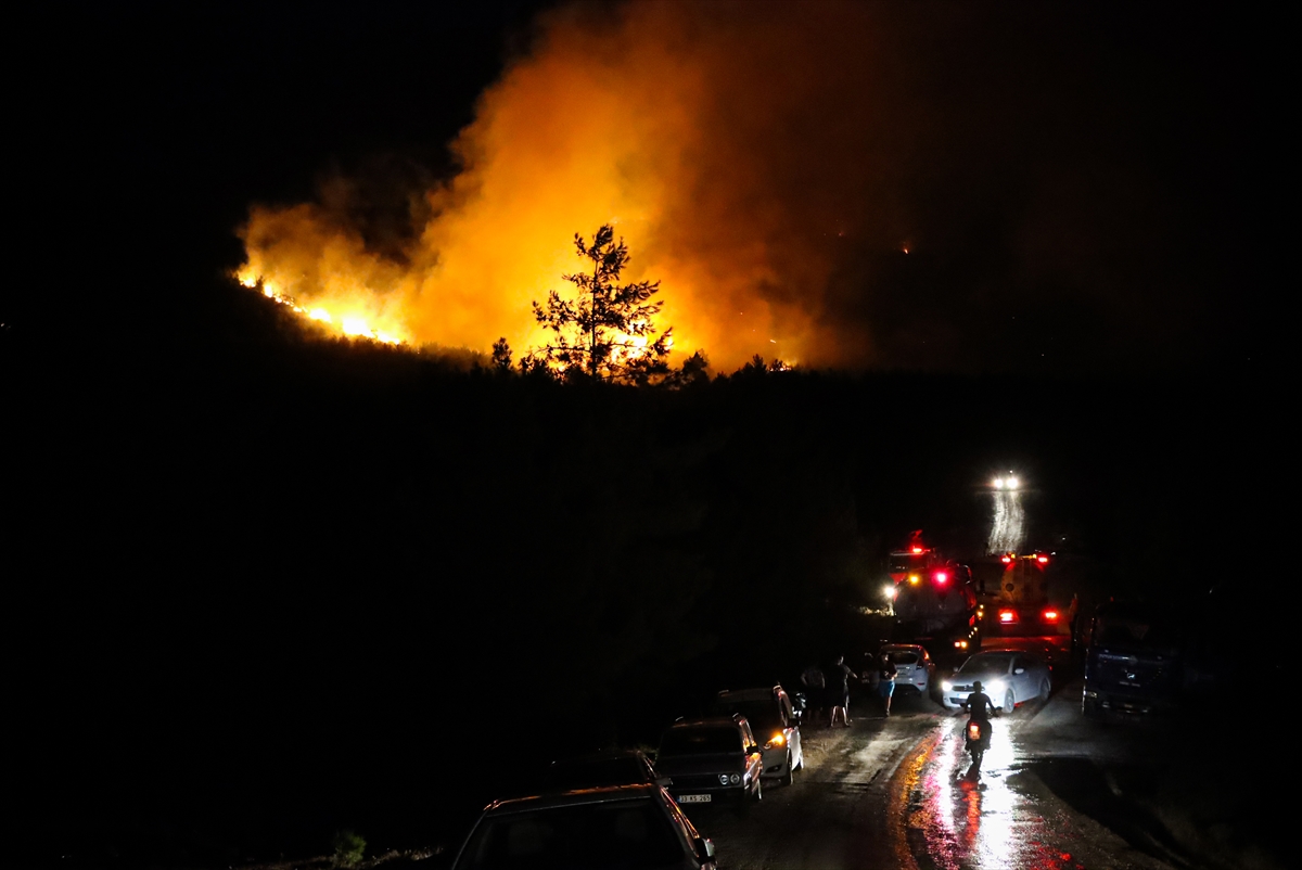 Turska: Nastavlja se gašenje požara sa kopna i iz zraka