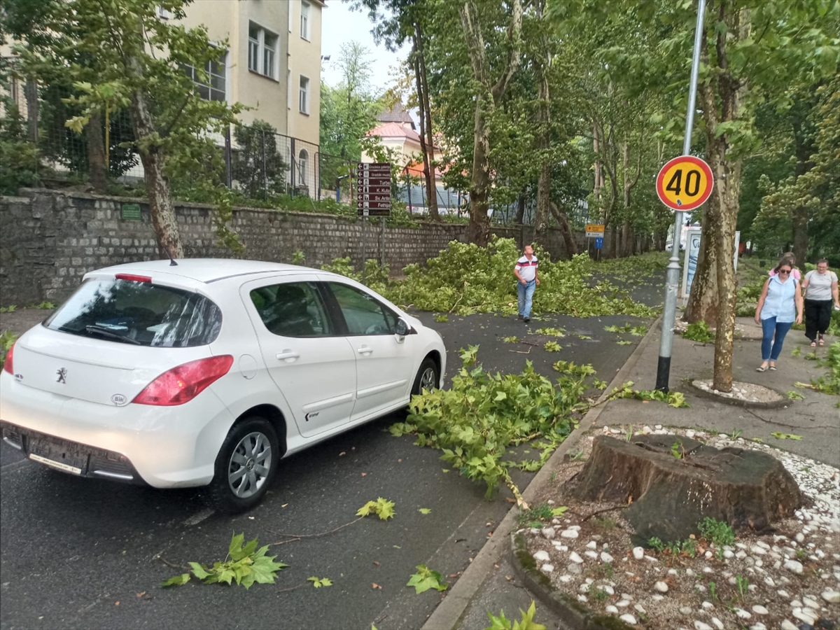 Nevrijeme zahvatilo Bihać, oboreno nekoliko stabala