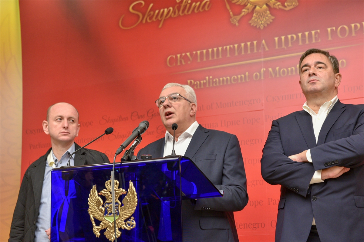 Vladajući DF traži nove izbore u Crnoj Gori