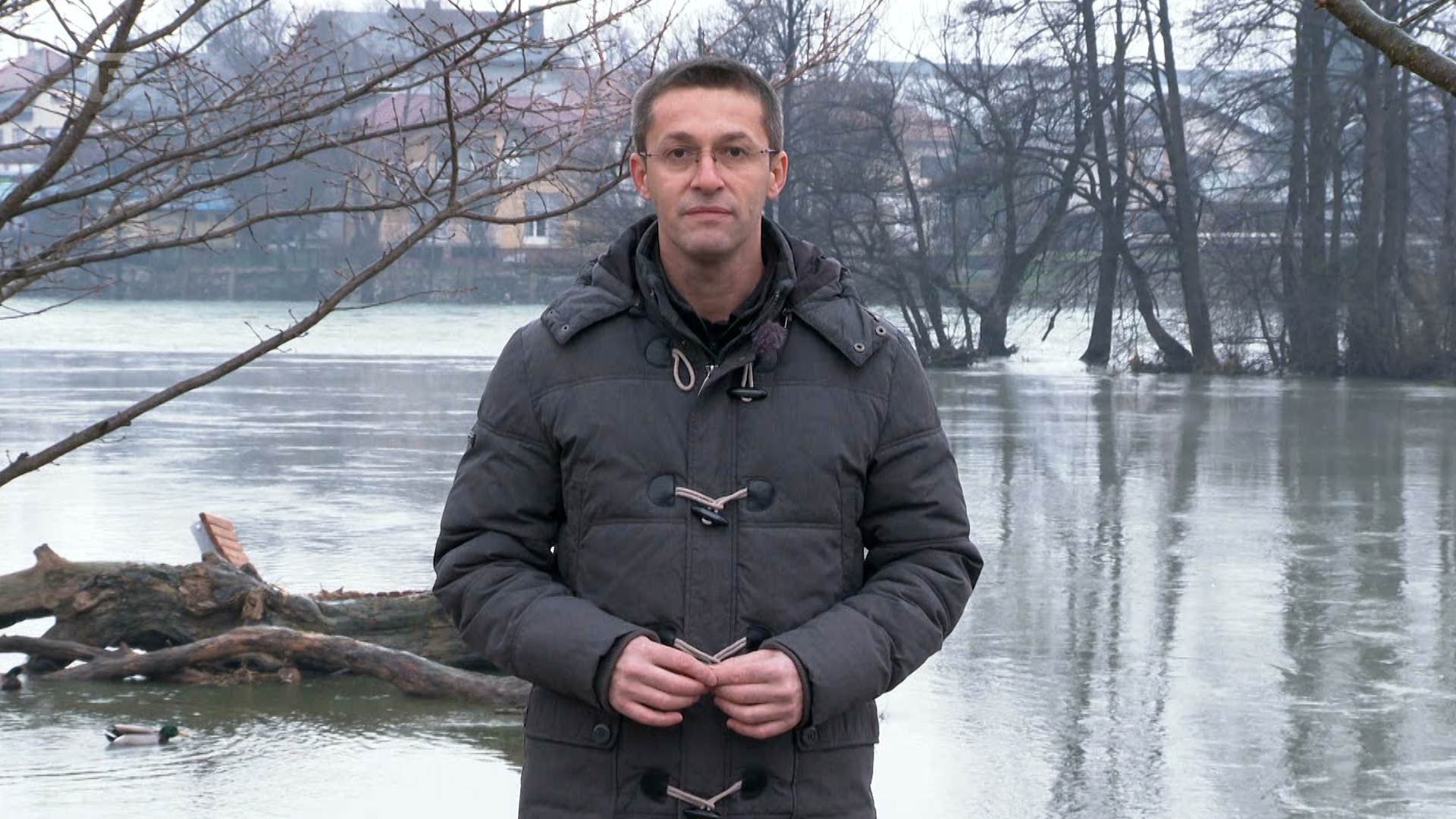 Zelena panorama, 25.12.2022.