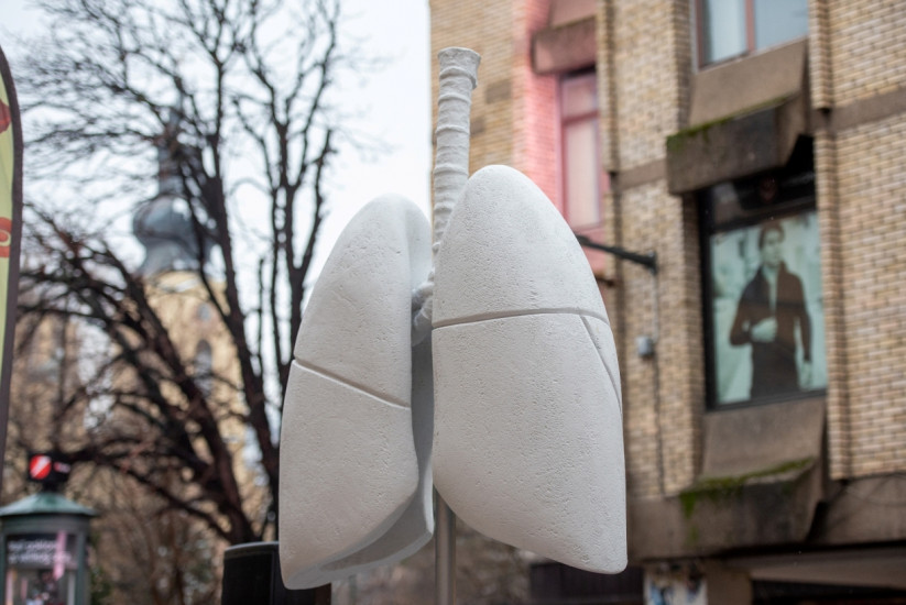 U Sarajevu postavljena instalacija "Zdrava pluća"