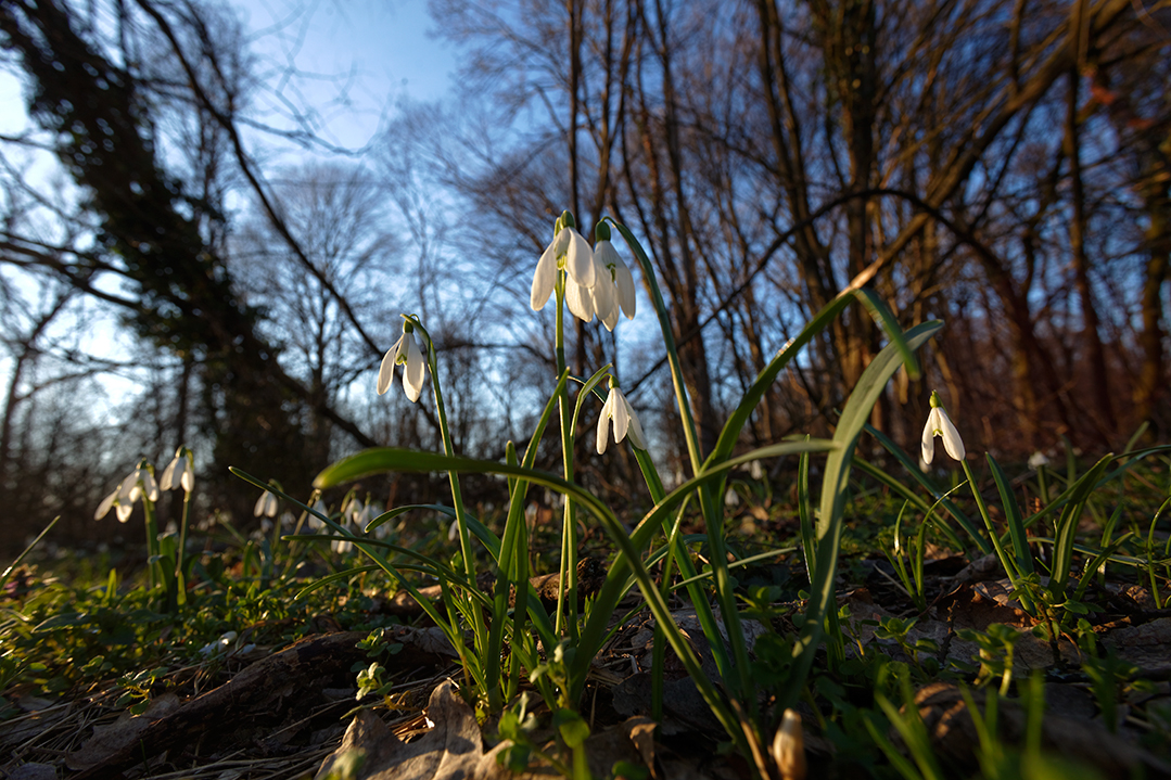 “U korak s proljećem”- nedjeljna šetnja za građane Viteza