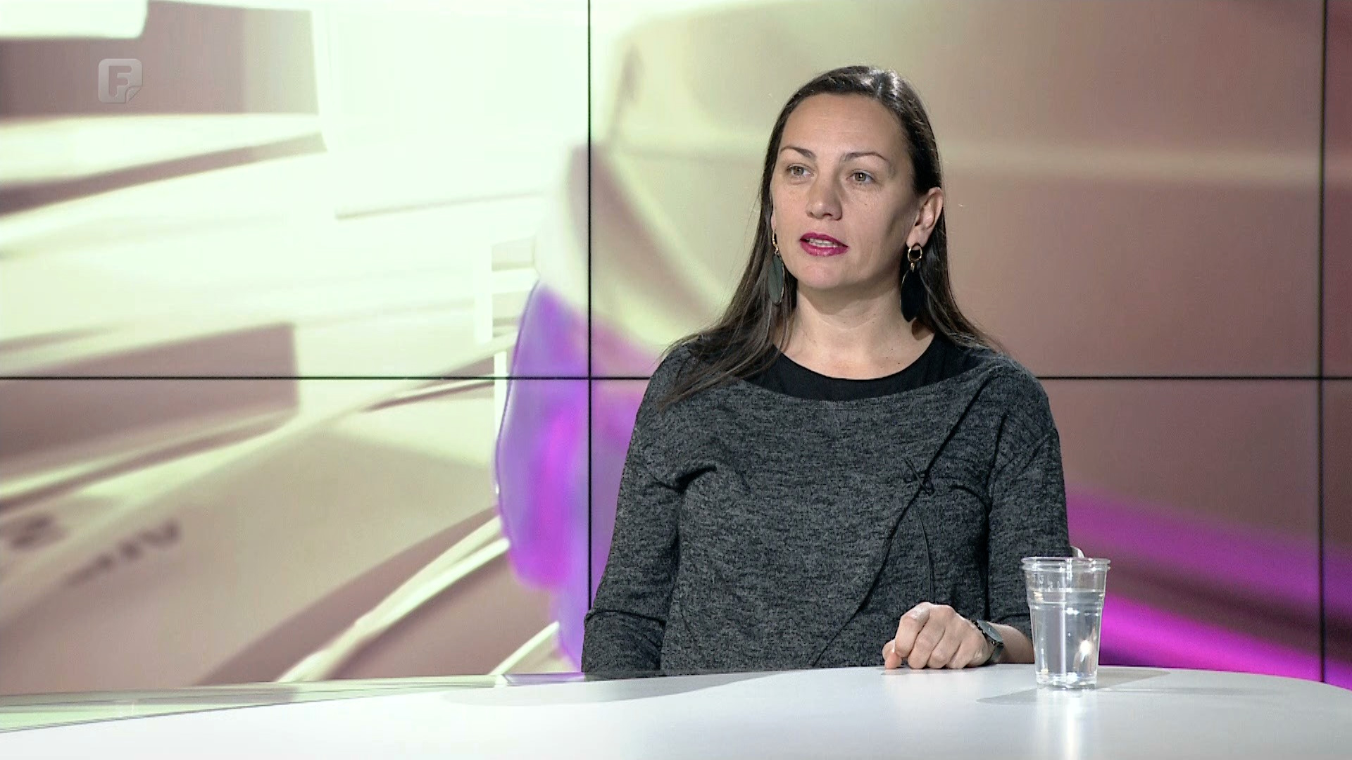 Rezime: Elma Hašimbegović, 25.02.2022.