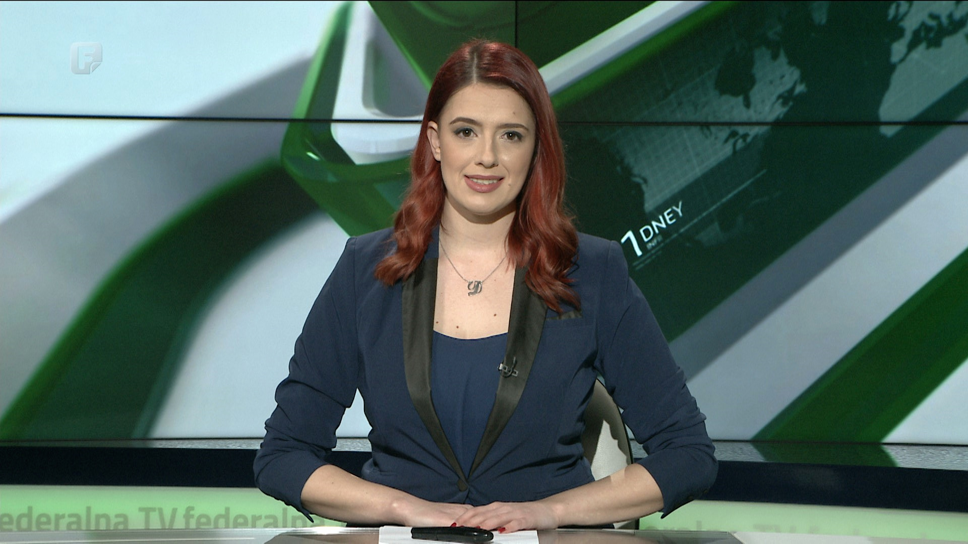 Dnevnik 1, 25.01.2022.