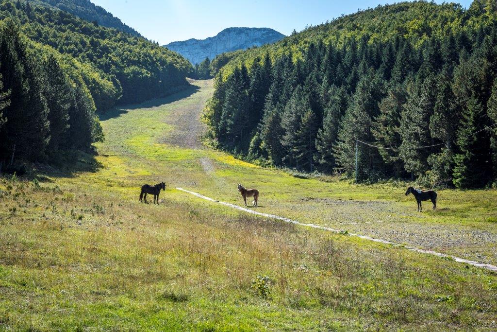 Park prirode Blidinje sa novim turističkim atrakcijama obogatio ponudu