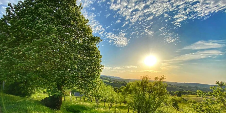 Eko konferencija u Zenici