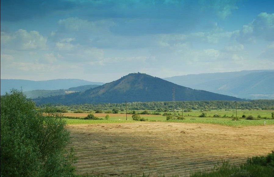 Gost jutra FR: prof.dr.Muhamed Omerović – Metodom “ ekobombardovanja” planirano  pošumljavanje medonosne šume na brdu Vis