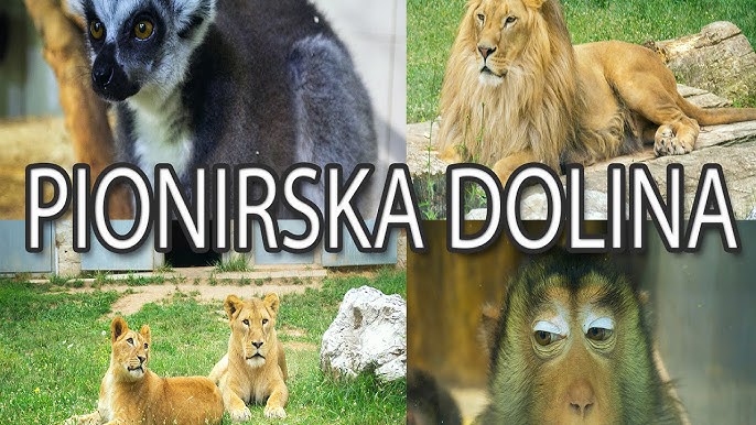 Proljeće u Pionirskoj dolini