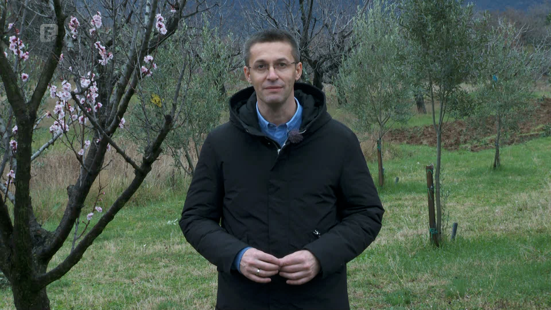 Zelena panorama, 26.03.2023.